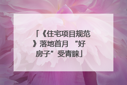 《住宅项目规范》落地首月 “好房子”受青睐