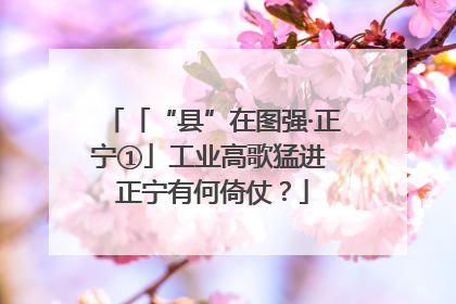 「“县”在图强·正宁①」工业高歌猛进 正宁有何倚仗？