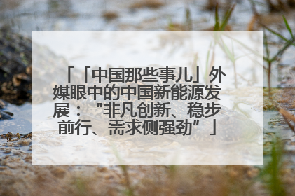 「中国那些事儿」外媒眼中的中国新能源发展：“非凡创新、稳步前行、需求侧强劲”