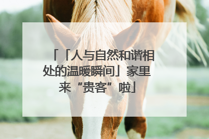 「人与自然和谐相处的温暖瞬间」家里来“贵客”啦