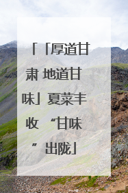 「厚道甘肃 地道甘味」夏菜丰收 “甘味”出陇