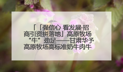 「强信心 看发展·招商引资拼落地」高原牧场“牛”劲足——甘肃华予高原牧场高标准奶牛肉牛养殖项目一线见闻