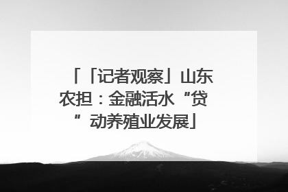 「记者观察」山东农担：金融活水“贷”动养殖业发展