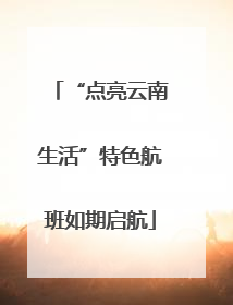 “点亮云南生活”特色航班如期启航