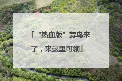 “热血版”蒜鸟来了，来这里可领