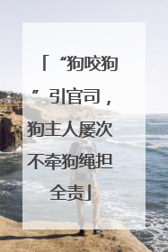 “狗咬狗”引官司，狗主人屡次不牵狗绳担全责