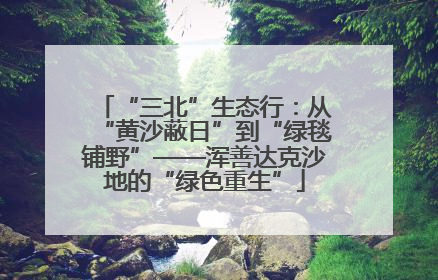 “三北”生态行：从“黄沙蔽日”到“绿毯铺野”——浑善达克沙地的“绿色重生”