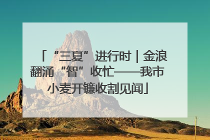 “三夏”进行时｜金浪翻涌“智”收忙——我市小麦开镰收割见闻