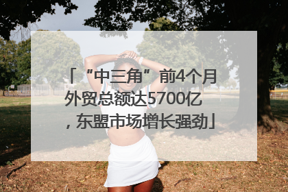 “中三角”前4个月外贸总额达5700亿，东盟市场增长强劲