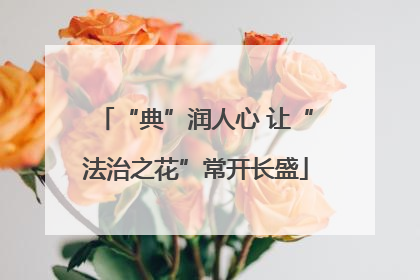 “典”润人心 让“法治之花”常开长盛