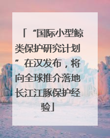 “国际小型鲸类保护研究计划”在汉发布，将向全球推介落地长江江豚保护经验
