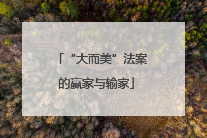 “大而美”法案的赢家与输家