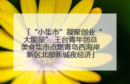 “小集市”凝聚创业“大能量” 王台青年创意美食集市点燃青岛西海岸新区北部新城夜经济