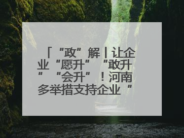 “政”解丨让企业“愿升”“敢升”“会升”！河南多举措支持企业“小升规”