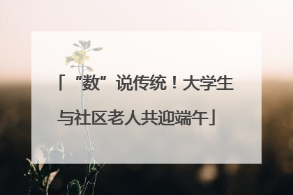 “数”说传统！大学生与社区老人共迎端午