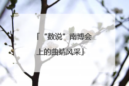 “数说”南博会上的曲靖风采