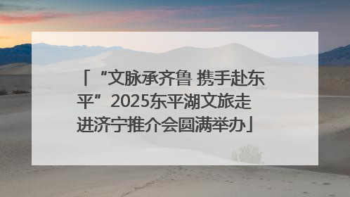 “文脉承齐鲁 携手赴东平”2025东平湖文旅走进济宁推介会圆满举办