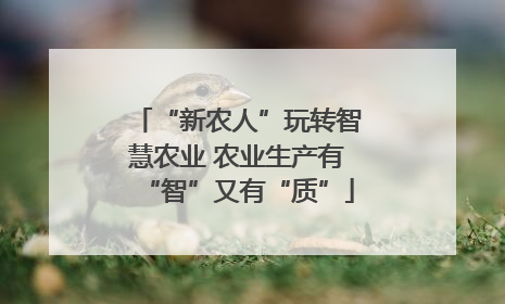“新农人”玩转智慧农业 农业生产有“智”又有“质”