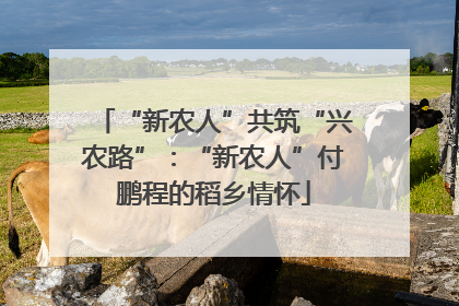 “新农人”共筑“兴农路”：“新农人”付鹏程的稻乡情怀