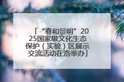 “春和景明”2025国家级文化生态保护（实验）区展示交流活动在洛举办