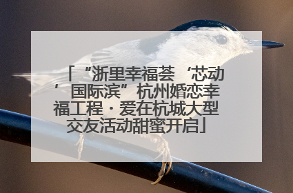 “浙里幸福荟‘芯动’国际滨”杭州婚恋幸福工程・爱在杭城大型交友活动甜蜜开启