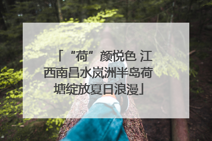 “荷”颜悦色 江西南昌水岚洲半岛荷塘绽放夏日浪漫