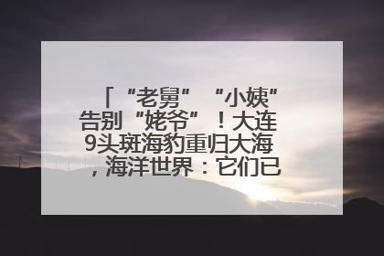 “老舅”“小姨”告别“姥爷”！大连9头斑海豹重归大海，海洋世界：它们已具备野外生存能力