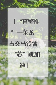 “育繁推”一条龙 古交马铃薯“芯”跳加速