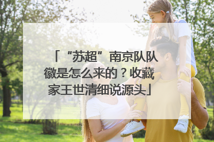 “苏超”南京队队徽是怎么来的？收藏家王世清细说源头