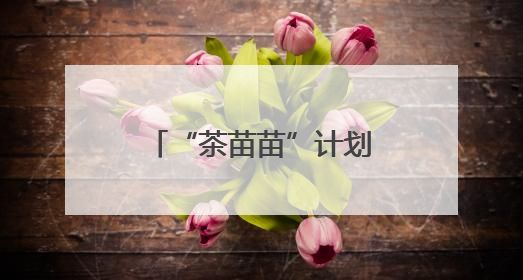 “茶苗苗”计划在云南保山启动 为留守困境儿童三餐“加肉”