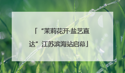 “茉莉花开·盐艺直达”江苏滨海站启幕