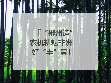 “郴州造”农机耕耘非洲好“丰”景