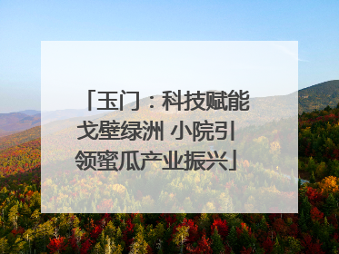 玉门：科技赋能戈壁绿洲 小院引领蜜瓜产业振兴