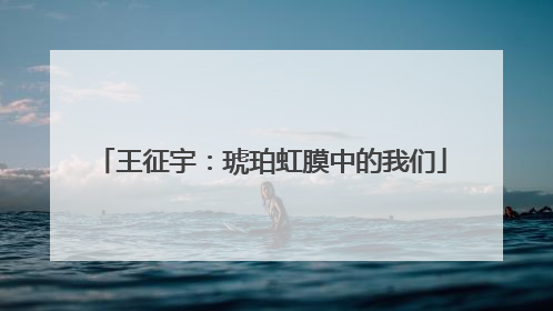 王征宇：琥珀虹膜中的我们