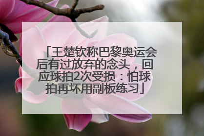 王楚钦称巴黎奥运会后有过放弃的念头，回应球拍2次受损：怕球拍再坏用副板练习