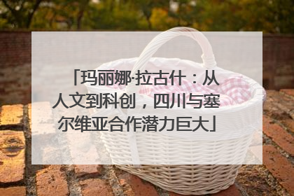 玛丽娜·拉古什：从人文到科创，四川与塞尔维亚合作潜力巨大