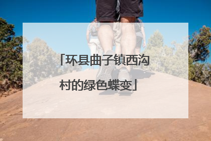 环县曲子镇西沟村的绿色蝶变