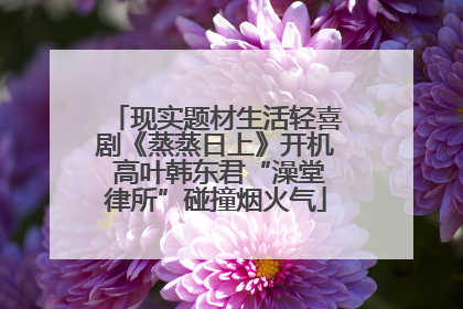 现实题材生活轻喜剧《蒸蒸日上》开机 高叶韩东君“澡堂律所”碰撞烟火气