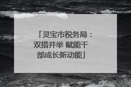 灵宝市税务局：双措并举 赋能干部成长新动能