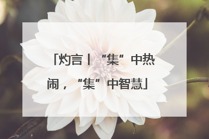 灼言丨“集”中热闹，“集”中智慧