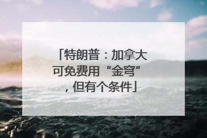 特朗普：加拿大可免费用“金穹”，但有个条件