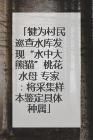 犍为村民巡查水库发现“水中大熊猫”桃花水母 专家：将采集样本鉴定具体种属