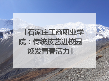 石家庄工商职业学院：传统技艺进校园焕发青春活力
