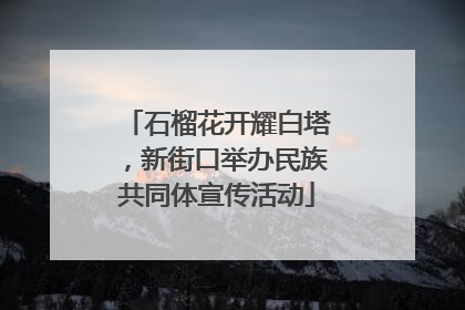 石榴花开耀白塔，新街口举办民族共同体宣传活动