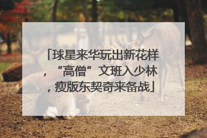 球星来华玩出新花样，“高僧”文班入少林，瘦版东契奇来备战