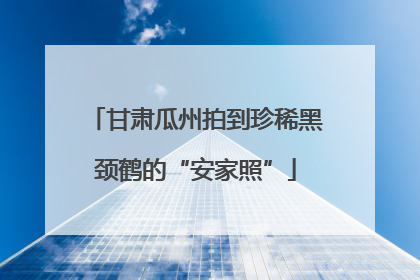 甘肃瓜州拍到珍稀黑颈鹤的“安家照”