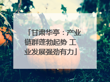 甘肃华亭：产业链群蓬勃起势 工业发展强劲有力