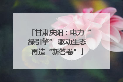 甘肃庆阳：电力“绿引擎” 驱动生态再造“新答卷”
