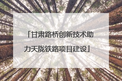 甘肃路桥创新技术助力天陇铁路项目建设