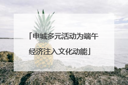 申城多元活动为端午经济注入文化动能